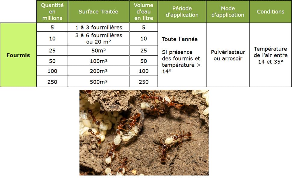 Nématodes Contre Les Fourmis SOLUNEMA Protéger le Potager et la Pelouse - 3