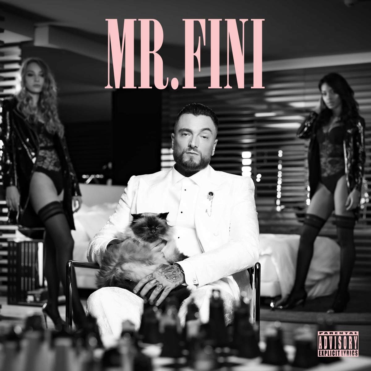 Cover di Mr. Fini