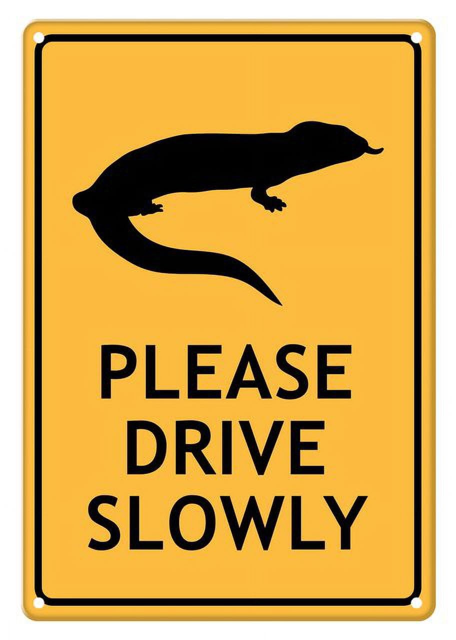 peiyeety Blue Tongue Lizard Please Drive Slowly Aluminum Tin Sign for Home Kitchen Wall Decor 12x16 Inches