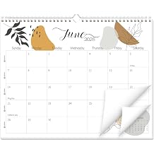 Guasslee Wall Calendar 2026-2027, 2026 Calendar Wall, 19-Month Planner Wall, 2026 Jun - 2027 Dec, 14" X 11" Monthly Calendar Spiral Bound with Thick Paper, Week Numbers for School Year Home Office