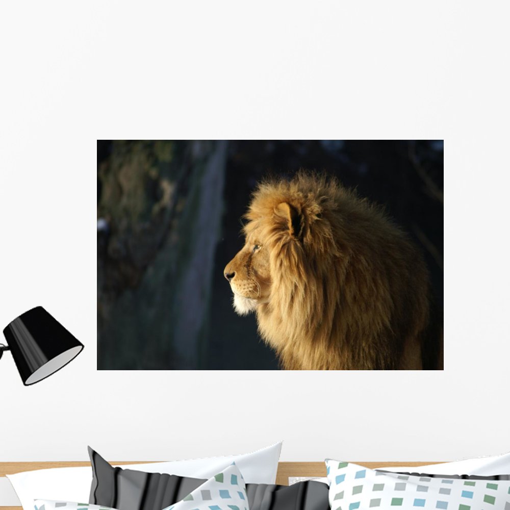 Amazon.com: Wallmonkeys Lion Wall Decal Peel and Stick Graphic