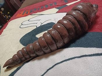 モスラ　幼虫 Amazon.co.jp: 東宝30cmシリーズ 第9弾 モスラ幼虫 (PVC塗装済み