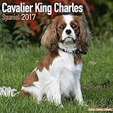 Cavalier King Charles Spaniel Calendar 2017 - Dog Breed Calendars - 2016 - 2017 wall calendars - 16 Month by Avonside