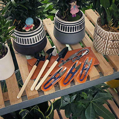 Sanlykate Bonsai Tool Kit 8Pc, Basic Trimmer Set Include Pruner, Fold Scissors, Tweezer, Spades, Rake #TOP6