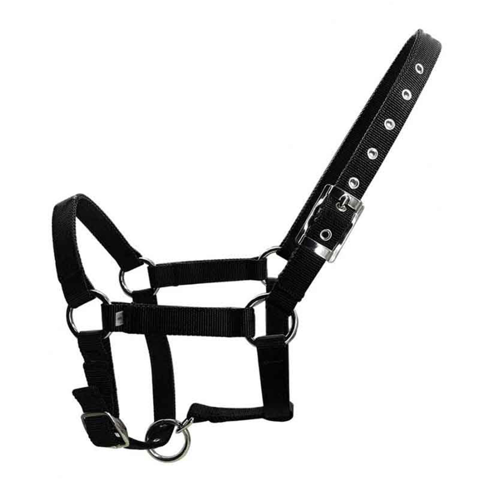 Cavezza Per Cavallo XS SL XL Fettuccia in nylon regolabile Cavezza for cavallo equestre Abbigliamento da equitazione ergonomico e confortevole(XL)