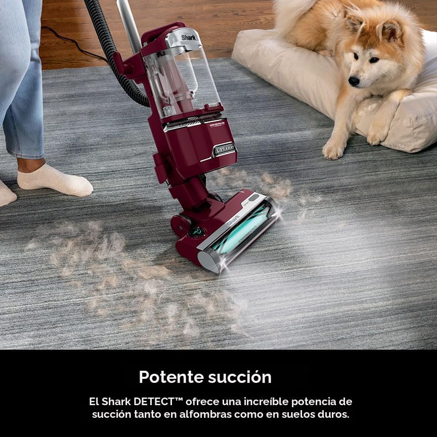 Miniatura 2 de Shark DETECT LA492 - Aspiradora vertical con cable Lift-Away con tecnología Detect, cepillo autolimpiante para no envolver el cabello, sello