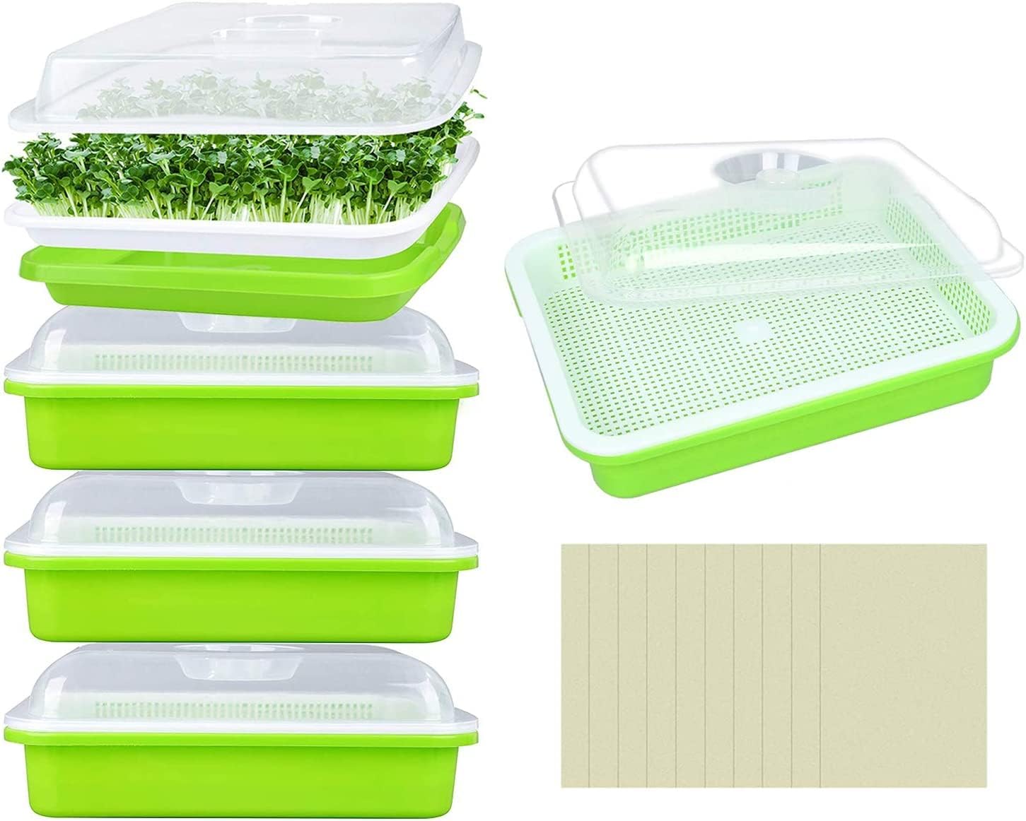 5 Pack Seed Sprouter Trays with Lids- Soil-Free Cultivation Germination Tray, BPA Free Micro Greens Growing Trays Seed Sprouting Trays Kit with Germinating Paper for Wheatgrass, Beans and More