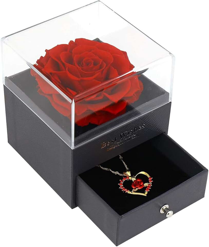 Amazon.ca: preserved rose