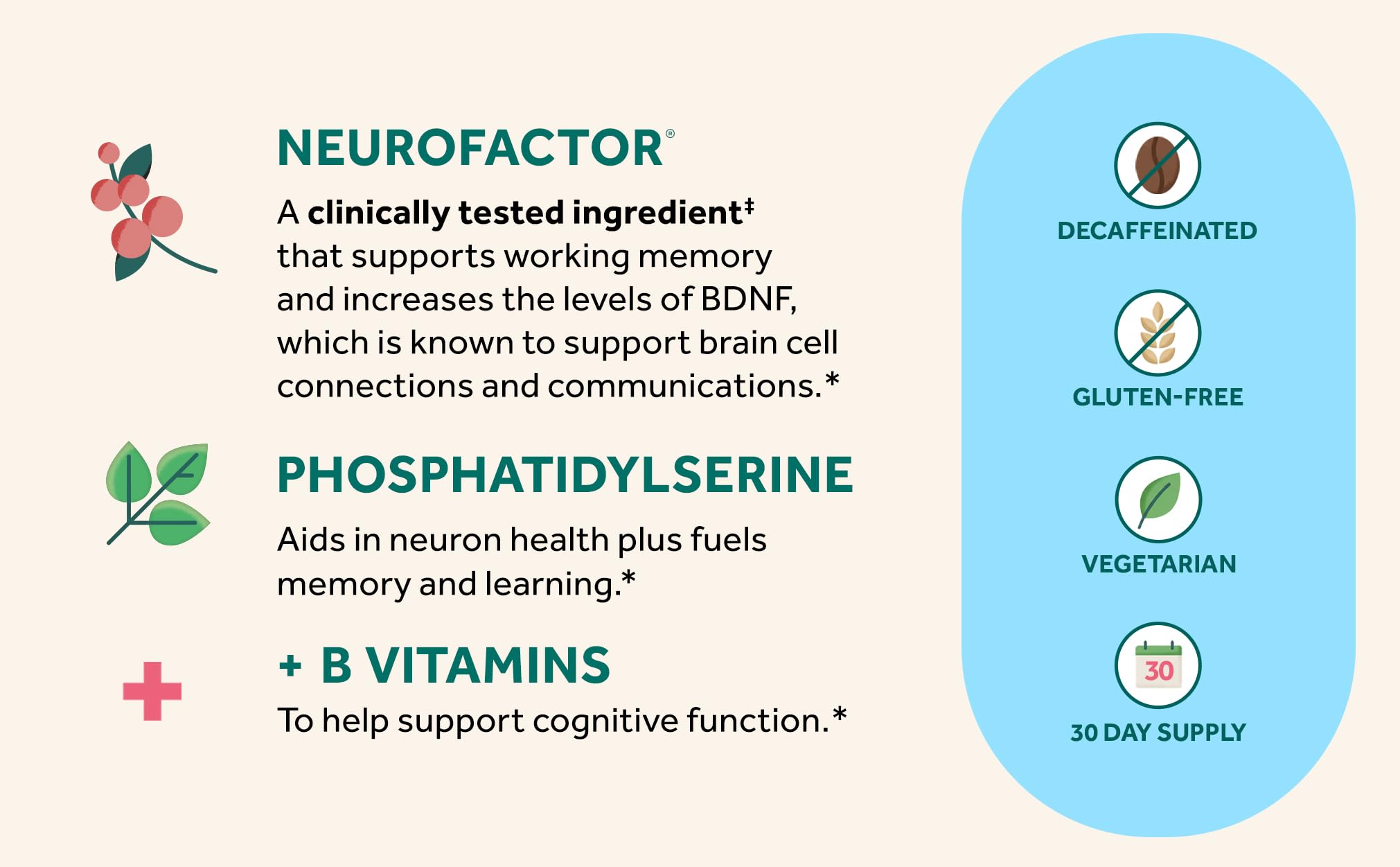 NEURIVA Plus Brain Supplement for Memory, Focus & Concentration + Cognitive Function with Clinically Tested Nootropics Phosphatidylserine and Neurofactor, VIT B6 & B12, 30 Count Capsules (3 Pack) — Amazon image 3