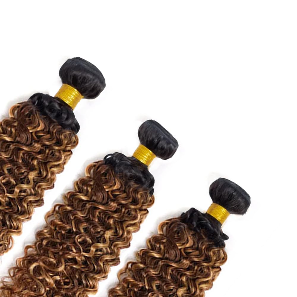 Honey Blonde Ombre Kinky Curly Bundles P4/27 Highlight Curly Wave Human Hair Bundles Chocolate Brown and Honey Blonde Track Mix Brazilian Human Hair Sew-In Extensions 10 12 14 inch