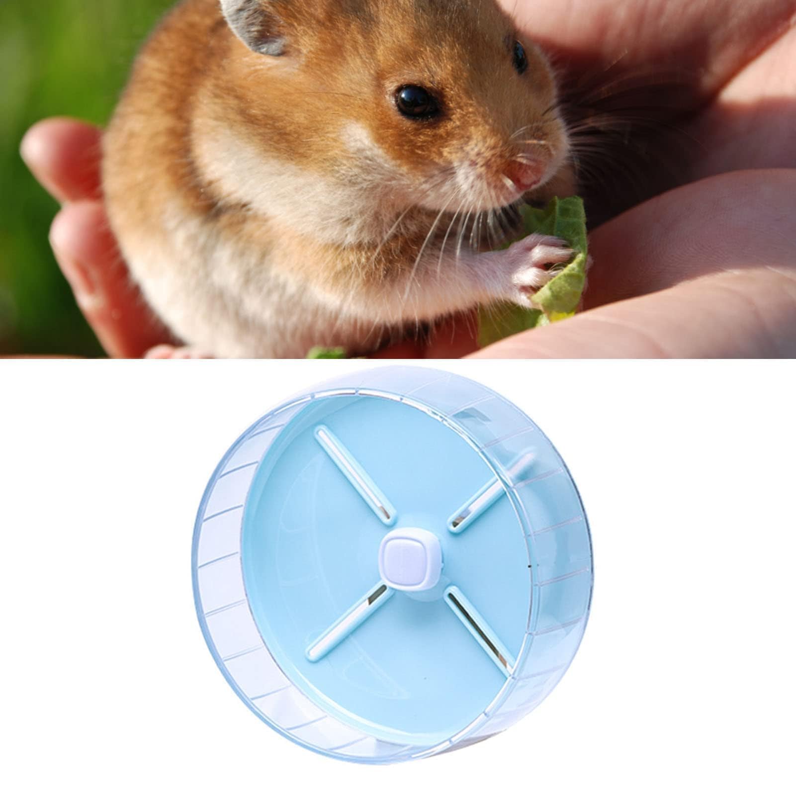 Roue De Hamster, Roues D'exercice Silencieuses Pour Hamster, Roues De Course Silencieuses Pour Gerbille Naine, Hamster Syrien, Rat, Souris(26cm-Bleu)