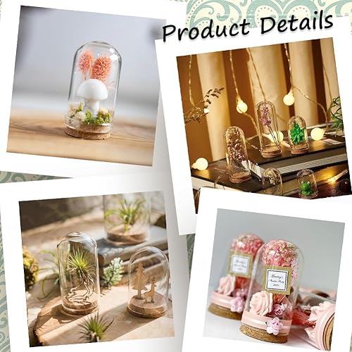 Miniatura 5 de SUNNYCLUE 16 unidades de 1.77 pulgadas Cloche Bell Jar Bell Cloche Cúpula de vidrio Cúpula de cristal con base de corcho, contenedor de