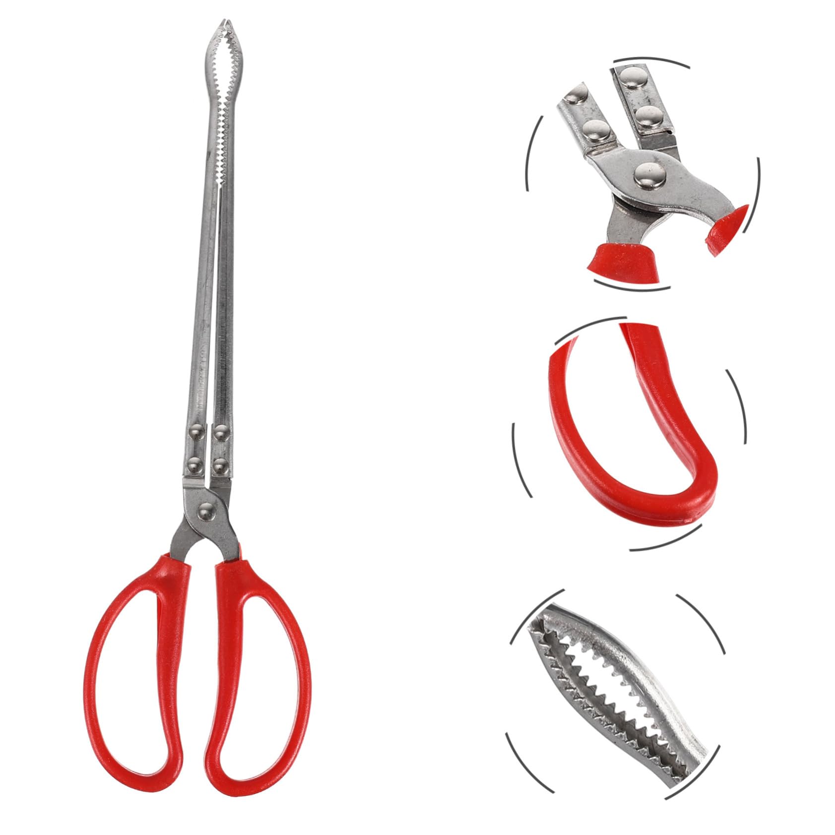 Pince à Crabes Portable en Acier Inoxydable Clip Antidérapant, Résistante à L'usure, Accessoire Pratique Pêche en Mer L'aquarium