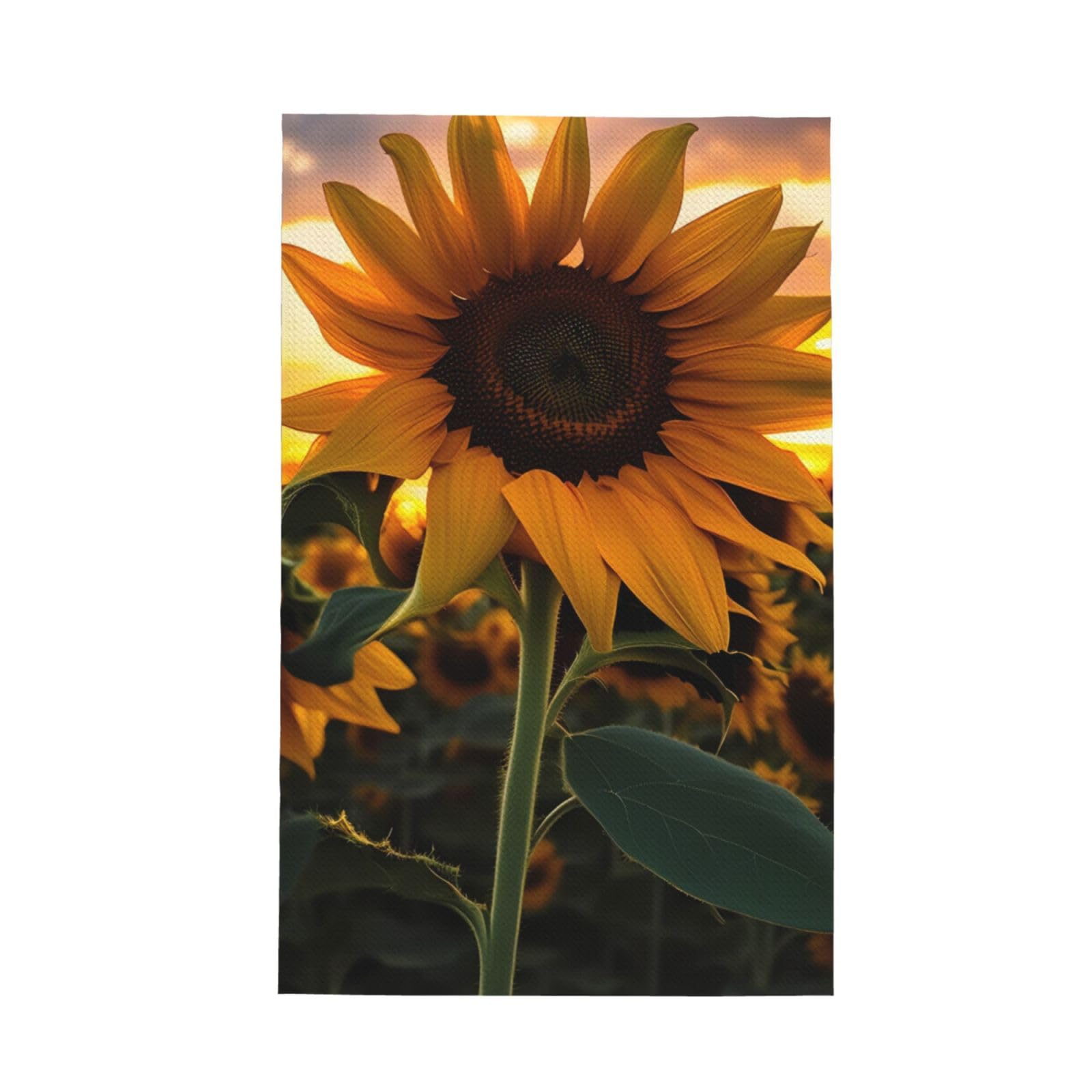 Farm Sunflower Super Absorbent Microfibre Waffle Towels Fast Drying Dish Cloths Home Cafe Barista
