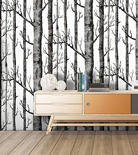 Papier peint bouleau adhésif pour une déco nature salon et chambre