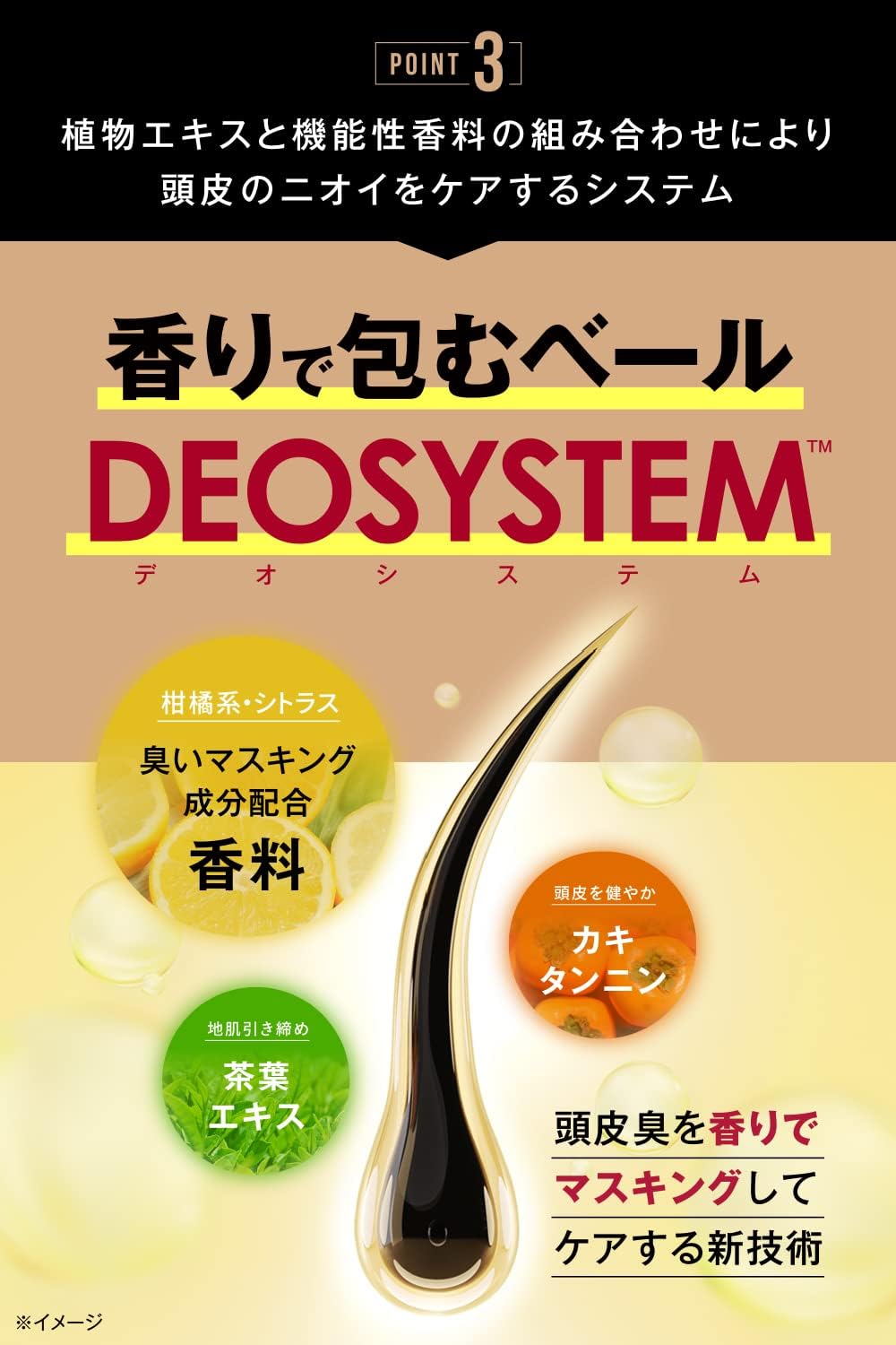 Amazon | 【2本セット】Anh メンズ スカルプシャンプー キャピキシル 