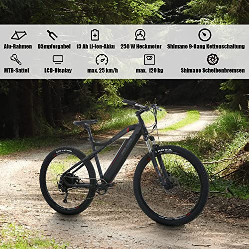 Leichtes E-Bike ProTour für Herren und Damen