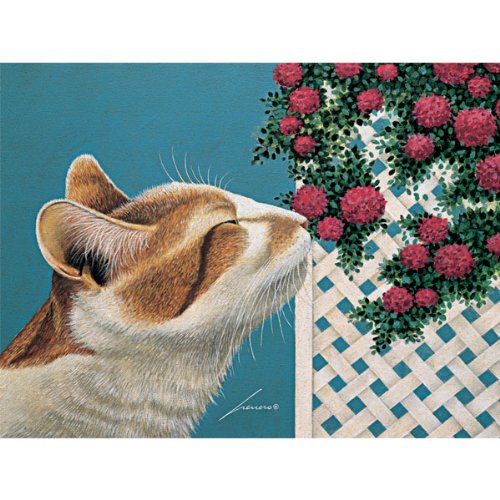 Lang Boxed Note Cards Ferdinand by Lowell Herrero