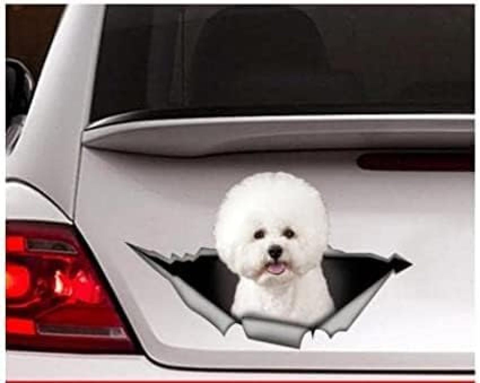 Car Sticker 22cm(8.6inches) Bichon Frise Car Decal, Bichon Frise Sticker,Pet Decal, Dog Decal, Car Decal, Funny Decal, Laptop Decal, Sticker(Hg1Fs13461)