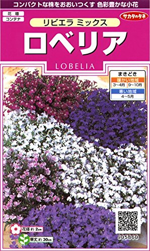 最安値 ベルサイユノのばら 密着マスク ロザリー ラ モール美輝若潤肌 7枚入 9504 の価格比較