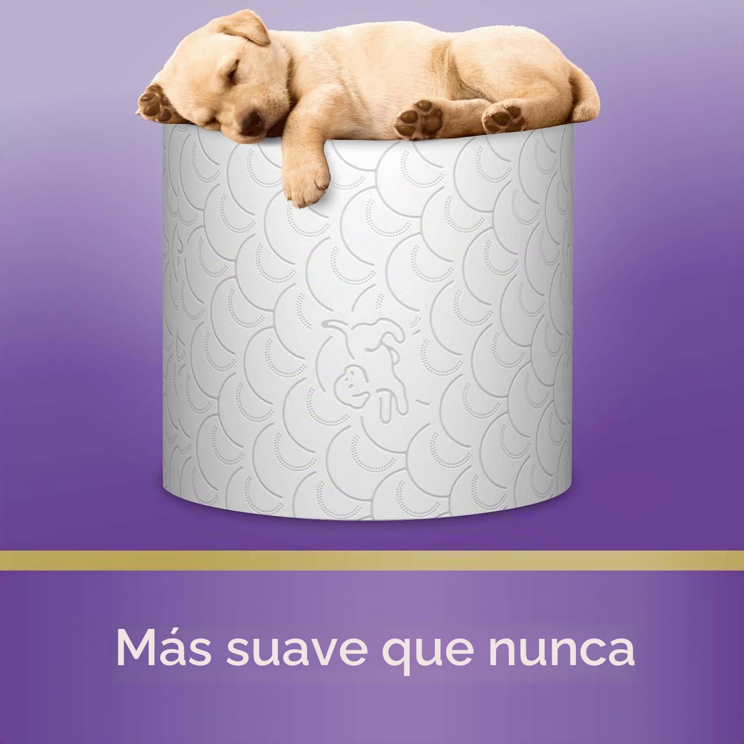 SCOTTEX - Papel higiénico (12 paquetes de 7 rollos), suavidad y comodidad, respetuoso con el medio ambiente, resistente