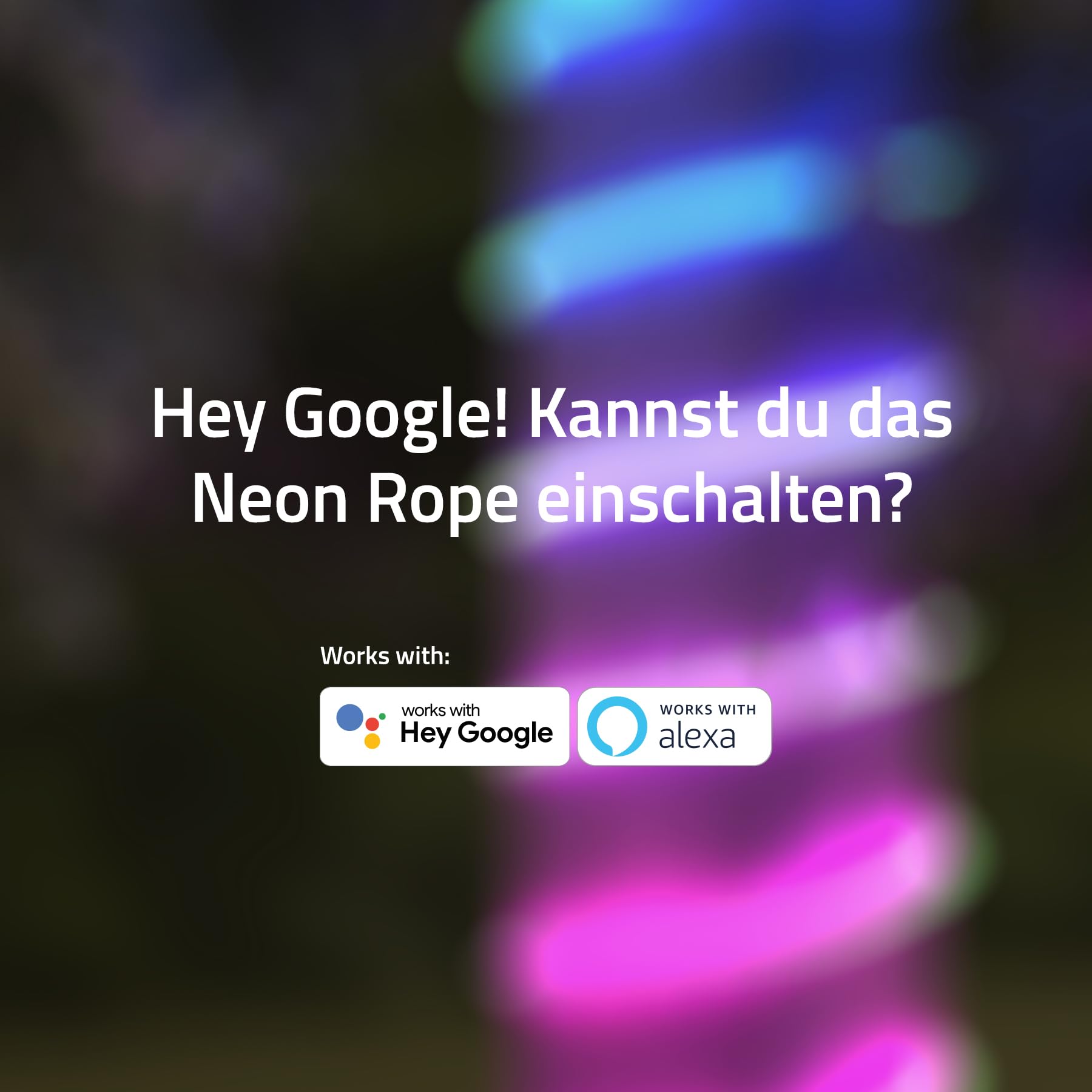 Hombli LED-Lichtstreifen RGBIC, dimmbar, innen & außen, Netzteil, 24 V, 5 m | App-Steuerung, Lichtsteuerung, Für drinnen und draußen, Intensive RGB-Beleuchtung, niederländische Marke für dein Smart Home