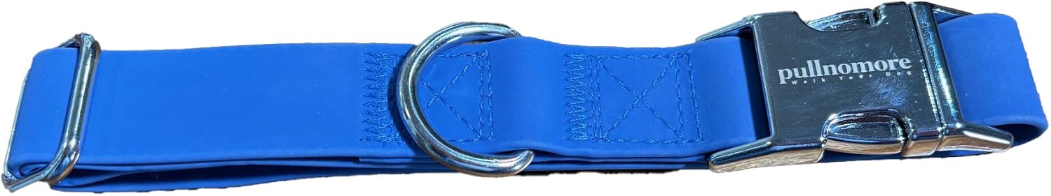 No-Pull Dog Leash and Collar Set, Waterproof Chew Resistant, Training Lead with Matching Collar, Durable PVC Material (Blue, Small)