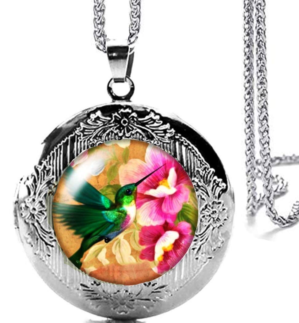 DianaL Boutique Silver Tone Hummingbird Locket Pendant Necklace Bird Fashion Jewelry with a Gift Box