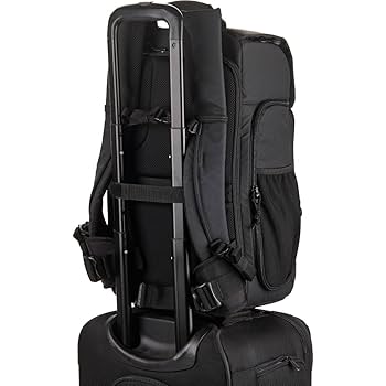 Amazon.com : Tenba Axis v2 20L LT Camera Backpack for DSLR