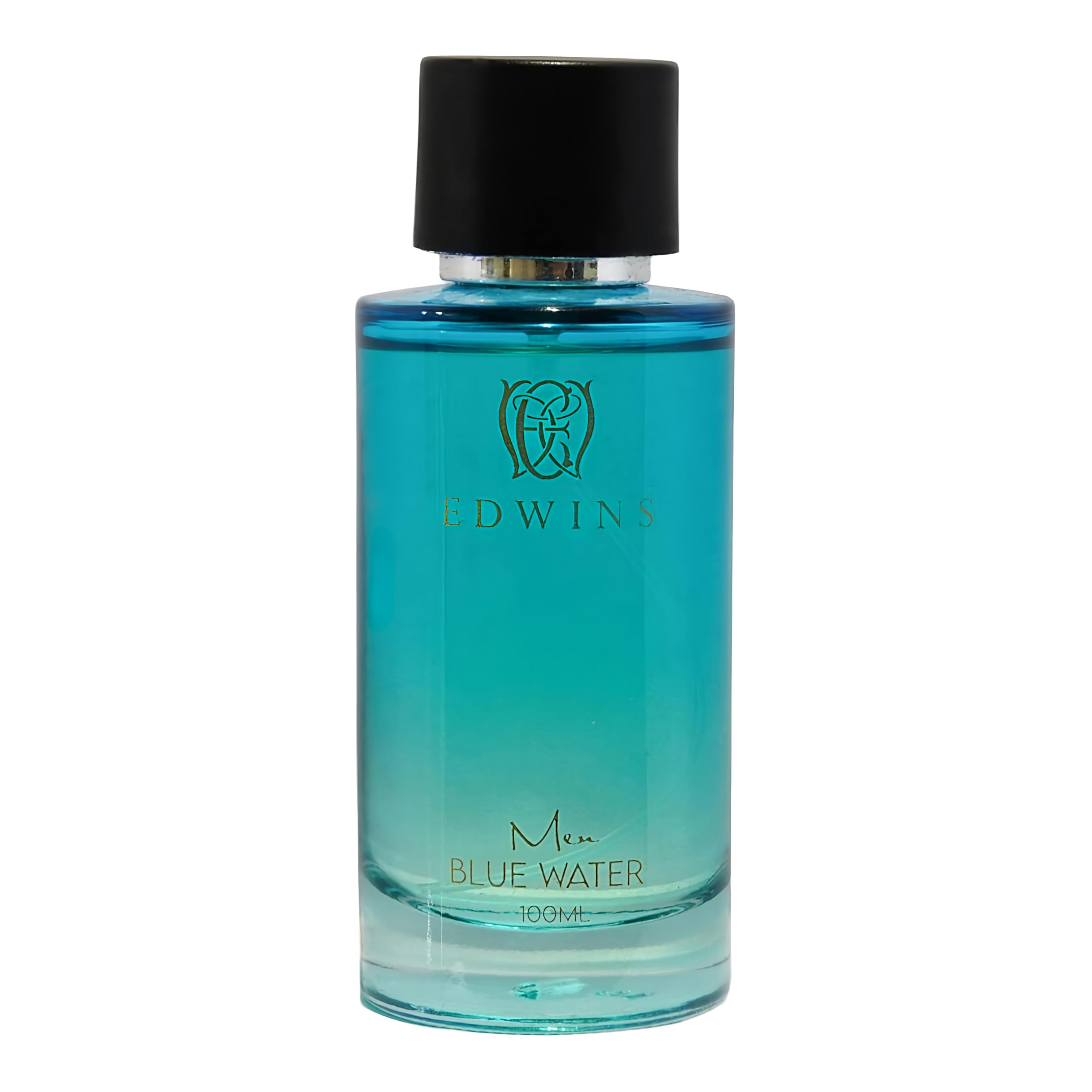 Edwins Blue Water Eau de Parfum for Men's – Luxury Long-Lasting Fragrance, Refreshing & Elegant Scent, 100ml-image-22