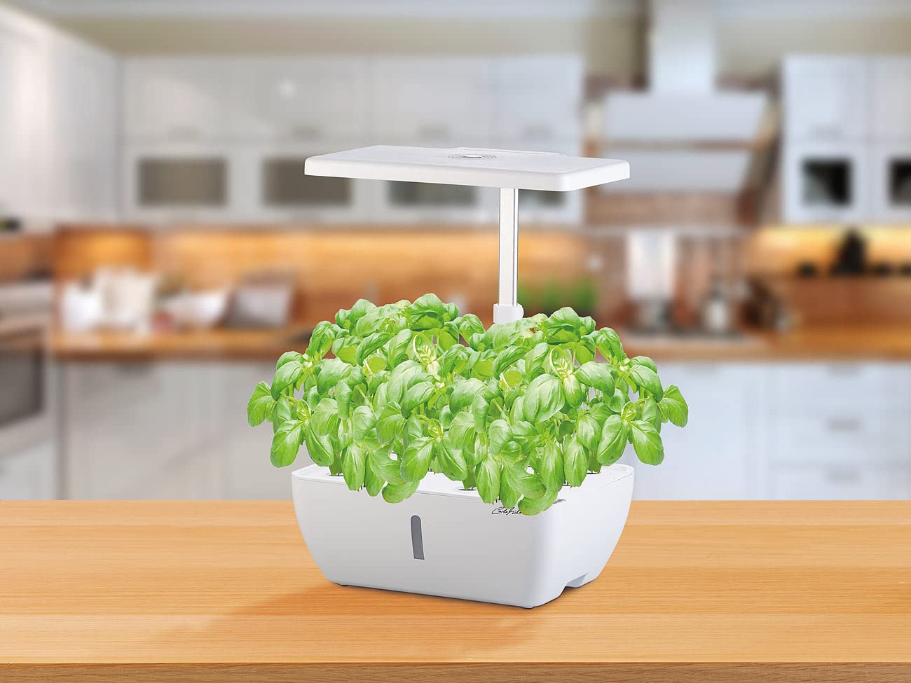 Carlo Milano Grow Lampe: Smartes WLAN-Anzuchtsystem für 12 Pflanzen, Wachstums-LEDs, App, 7 l (Led Grow, Anzuchtbox, Kräutergarten)