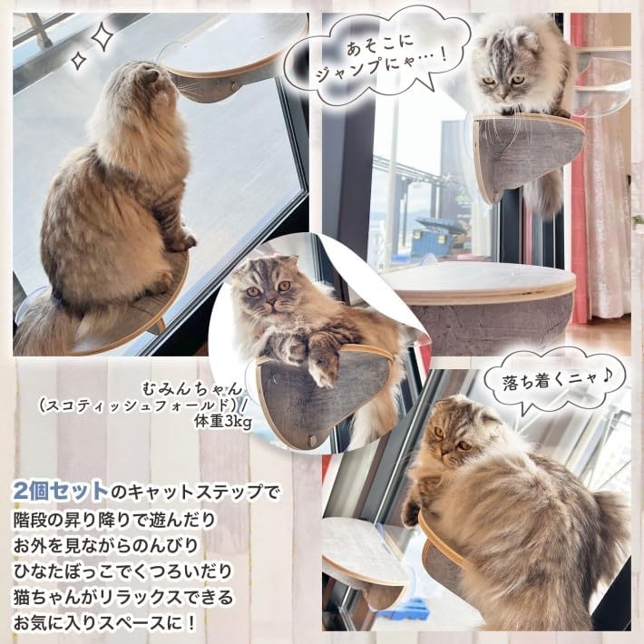 キャットステップ スケルトンハンモック 大きい猫ちゃん