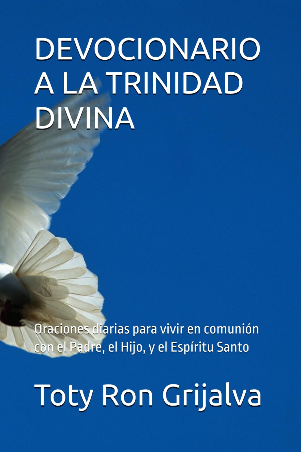 DEVOCIONARIO A LA TRINIDAD DIVINA: Oraciones diarias para vivir en comunión con el Padre, el Hijo, y el Espíritu Santo (ORACIONES Y VIDA DE LOS SANTOS)