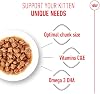 Royal Canin Kitten Wet Cat Food, Kitten, 12 x 85 G