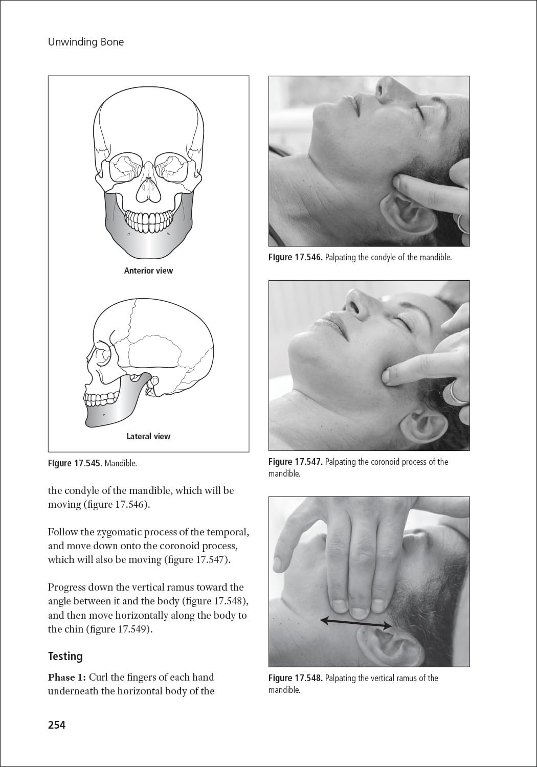 Unwinding Bone: A Complete Guide to Biodynamic Skeletal Therapy for Myofascial and Manual Therapists