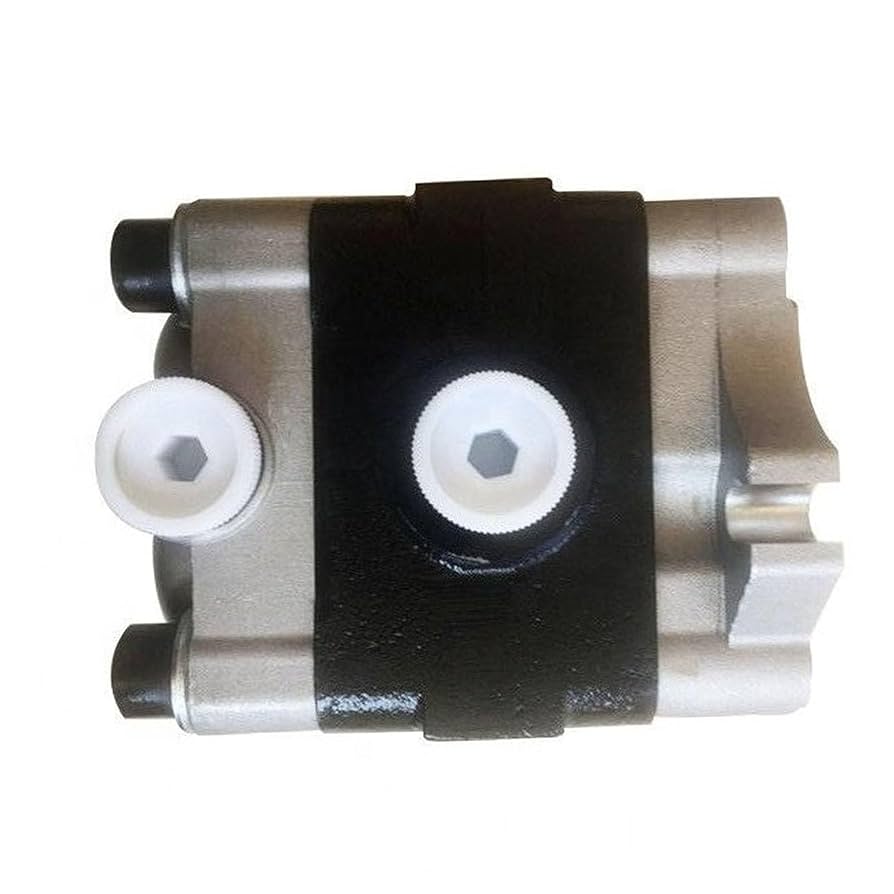 Amazon.com: Haiyazhma Hydraulic Pump 708-3S-04570 708-3S