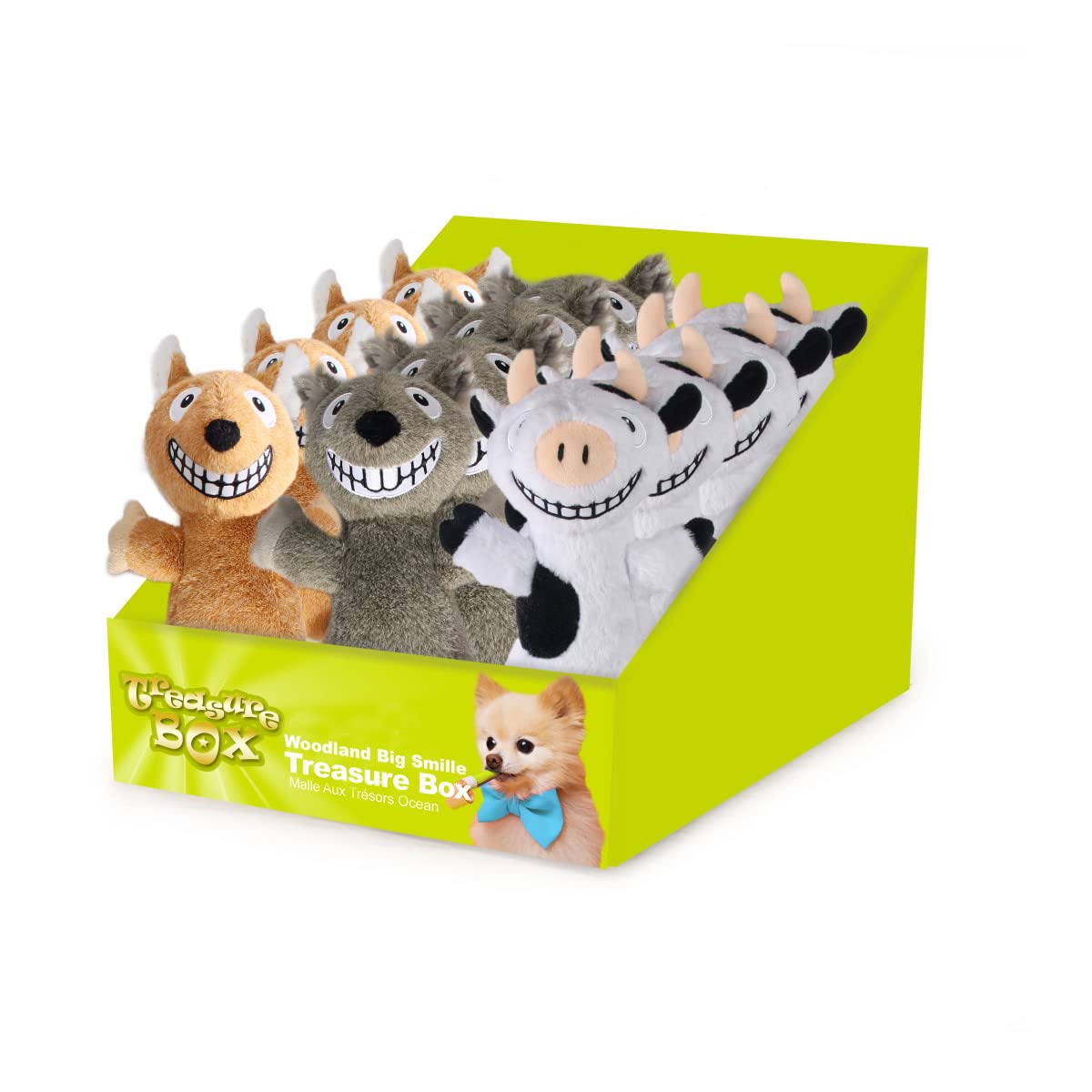 ALL FOR PAWSWoodland Big Smile Treasure Box Assorted - 24pcs/box