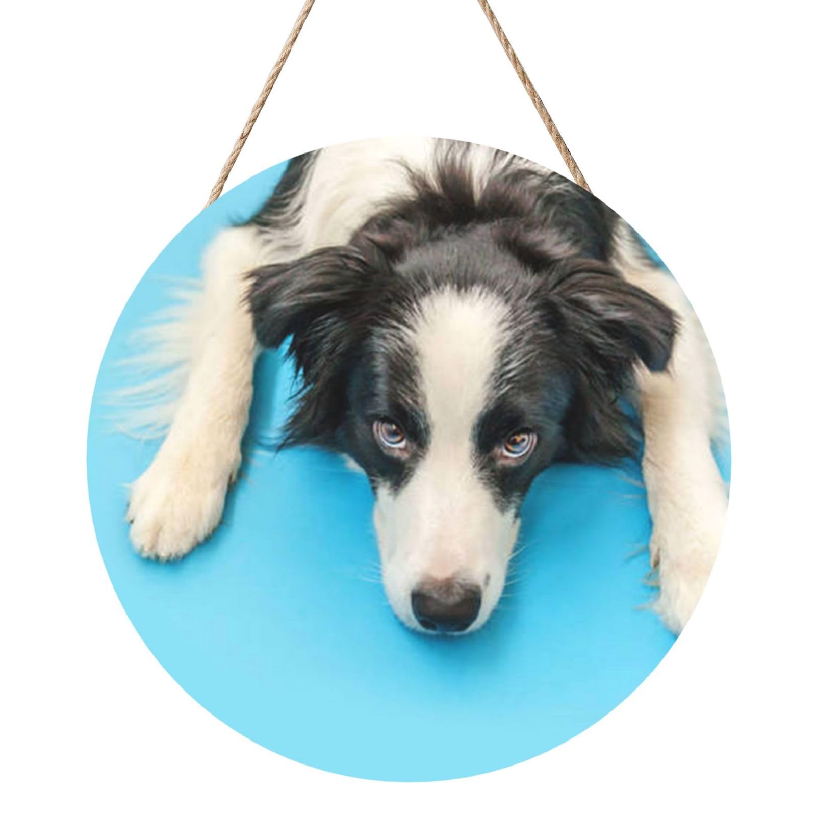 InOmak Funny Puppy Dog Border Collie Blue Background, Round Wood Panel Painting 12 in, Wall Hanging Painting For Home