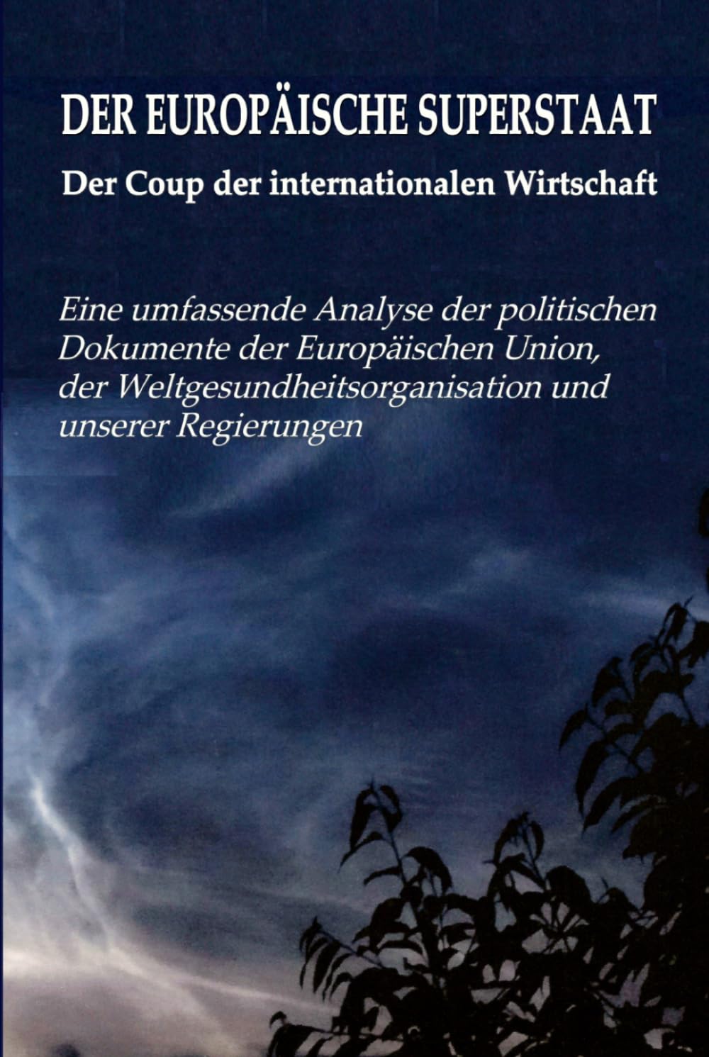 DER EUROPÄISCHE SUPERSTAAT - Der Coup der internationalen Wirtschaft: Eine umfassende Analyse der politischen Dokumente der Europäischen Union, der Weltgesundheitsorganisation und unserer Regierungen