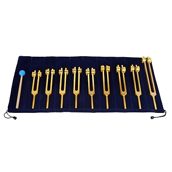 Weighted Chakra Tuning Fork of 9 Gold, 8 Chakra + 1 Soul Purpose Tuning Forks with Hammer and Bag
