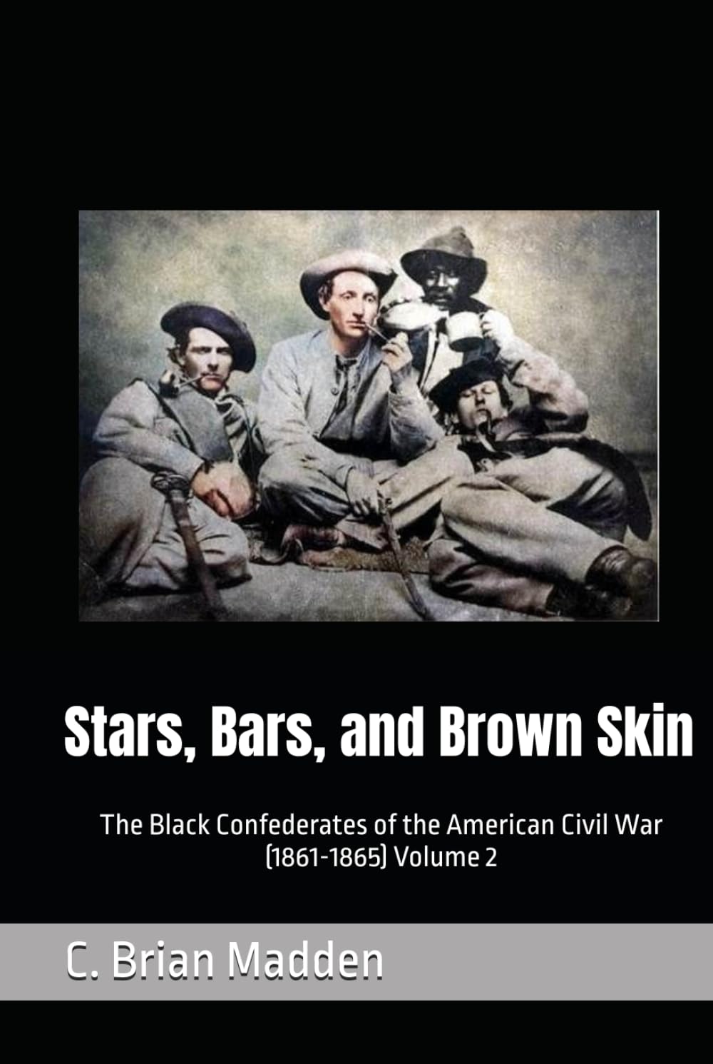 Stars, Bars, and Brown Skin: The Black Confederates of the American Civil War (1861-1865) Volume 2