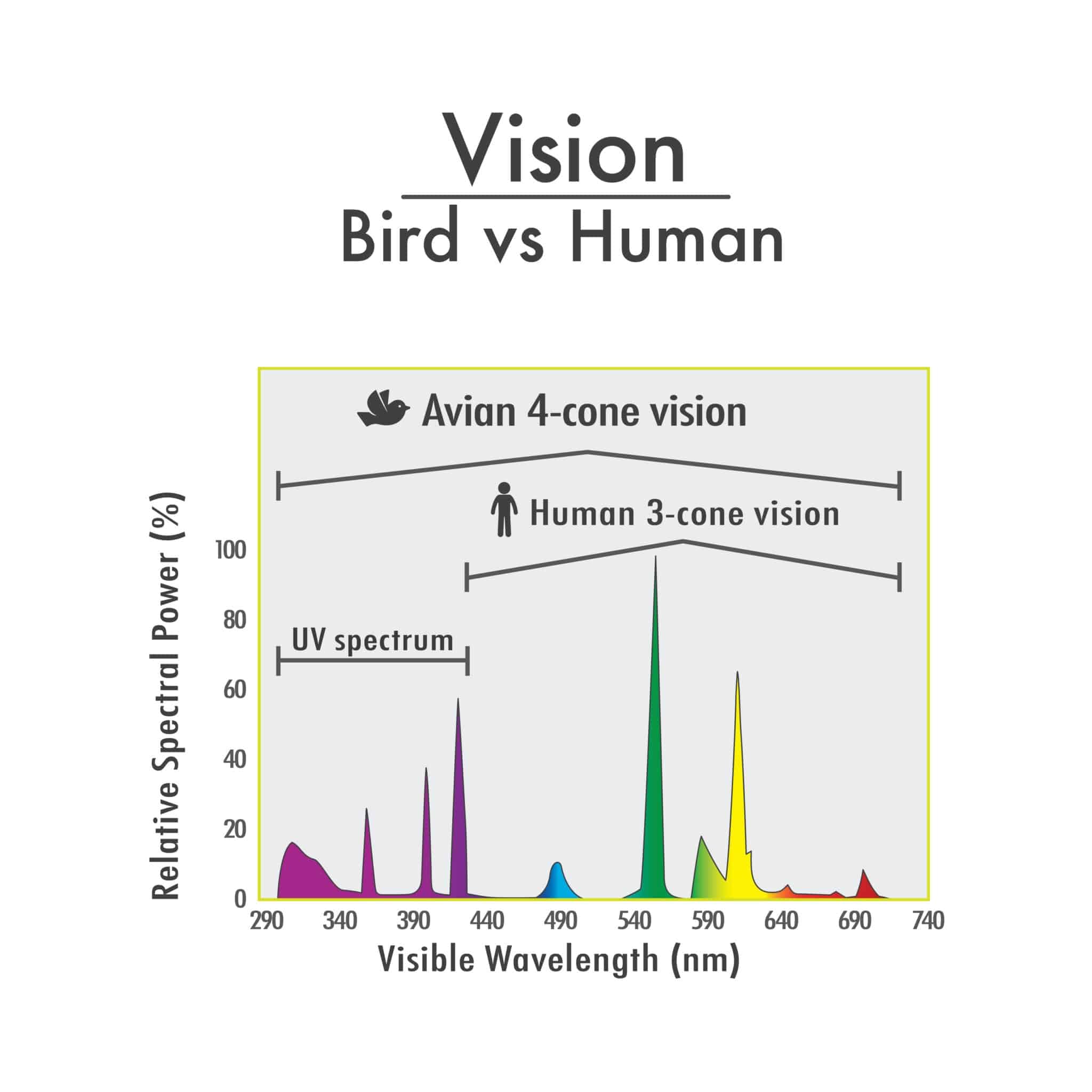 Lampade compatte Fluorescente per uccelli UVA/UVB Mini Hari Vision, 9 W