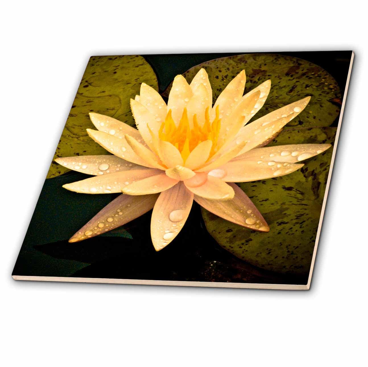 Amazon.com: 3dRose ct_13905_4 Yellow Lotus Flower-Ceramic