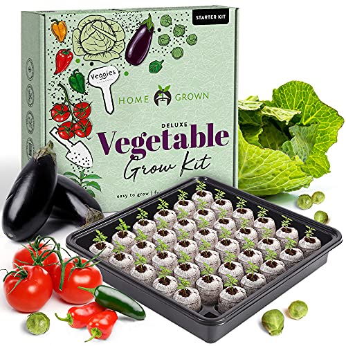 Top 10 Best Indoor Vegetable Garden Kit Reviews & Buying Guide Katynel