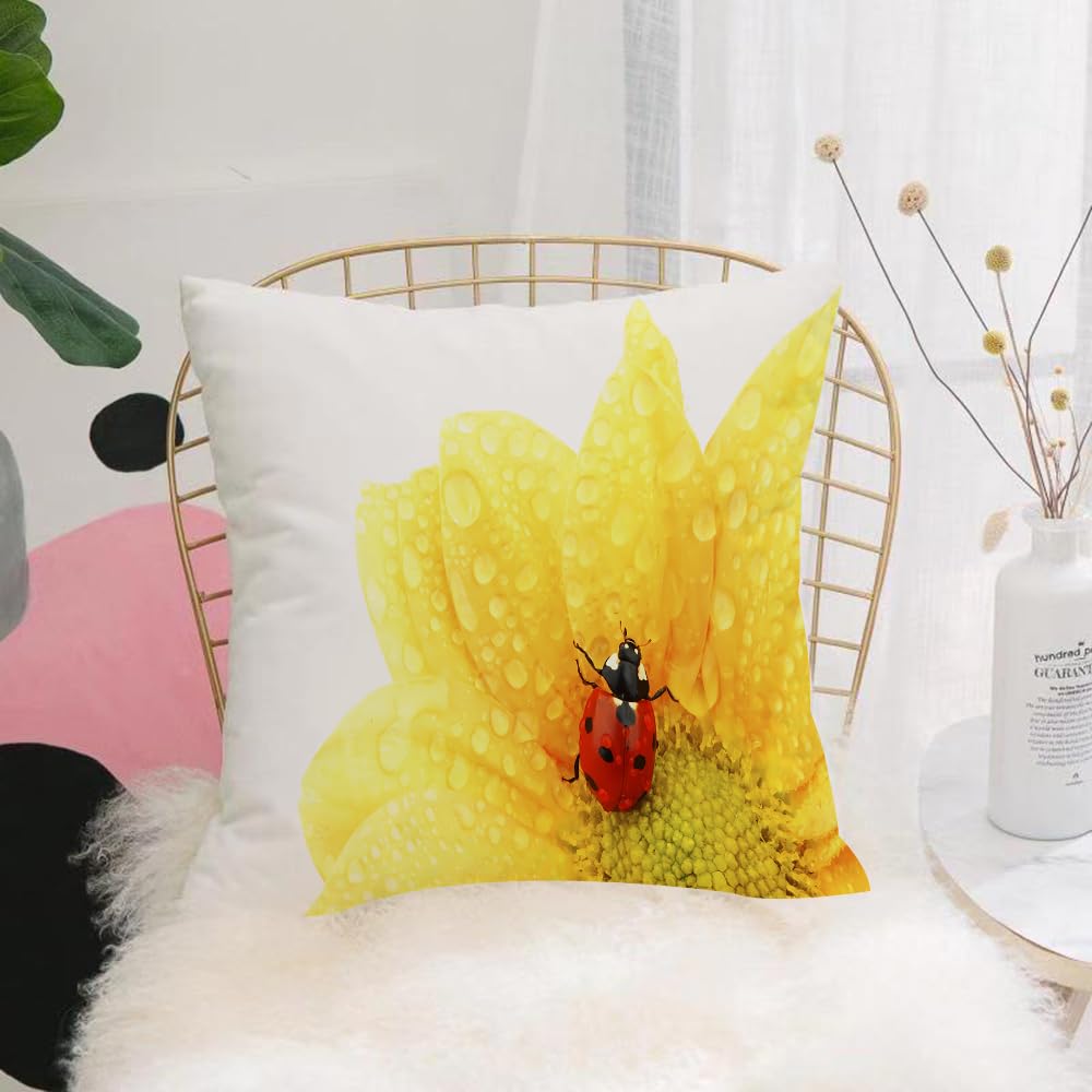 HYOSXW Cushion Cover,Throw Pillow Case Home Decorative for Living Room Bedroom Sofa Chair 16X16 Inch,ladybug on yellow flower isolated white background,Pillowcase 40X40cm