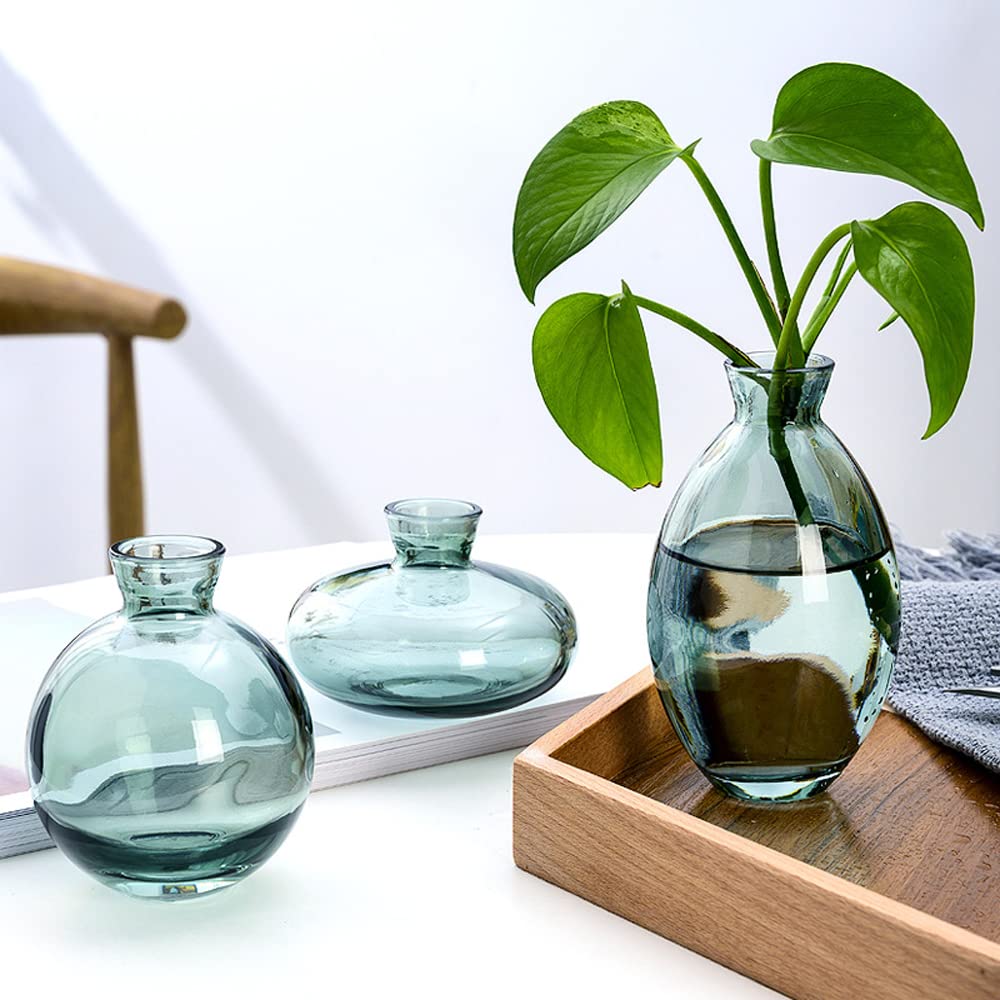 Hniuyun 3Pcs/Set Glass Vase, Small Mini Flowers Bud Vases, Transparent Hydroponic Vase Minimalist Aesthetic Home Decor (Green)