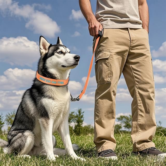 Miniatura 5 de Collares de perro personalizados, collar de perro bordado reflectante personalizado con nombre y números de teléfono, nailon suave ajustable
