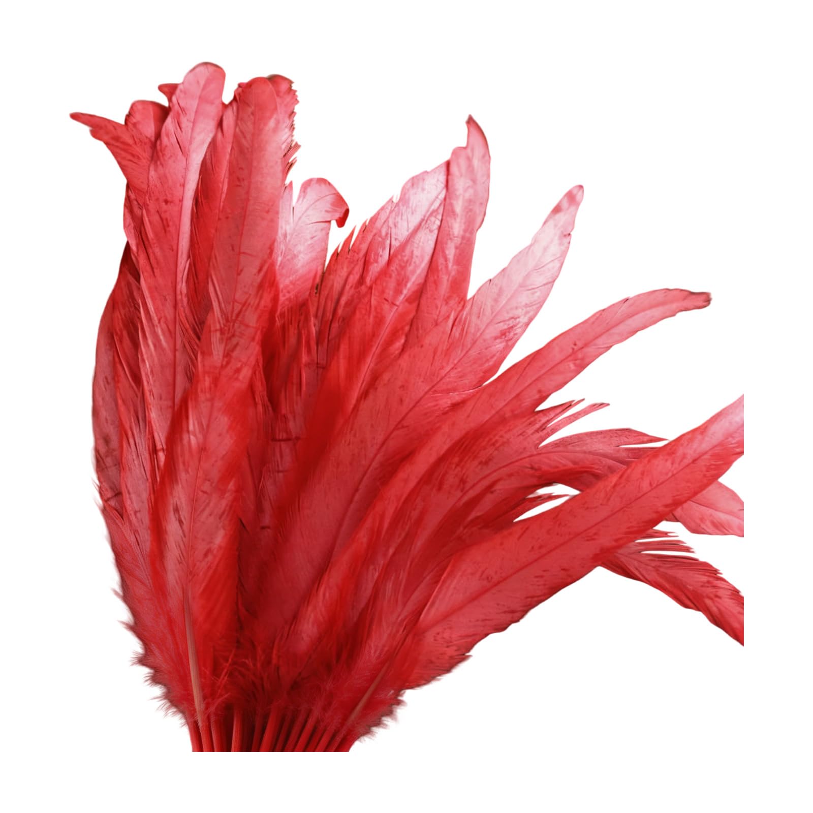 Buxuaaaa Red Of 40Pcs 25 30Cm Long Natural White Plumage For Clothing Accessories And Home Decoration Long Craft Quills