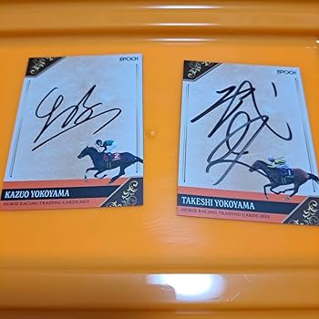 【横山武史直筆サイン】ソールオリエンスミニゼッケン 横山武史直筆サイン】ソールオリエンスミニゼッケン Amazon.co