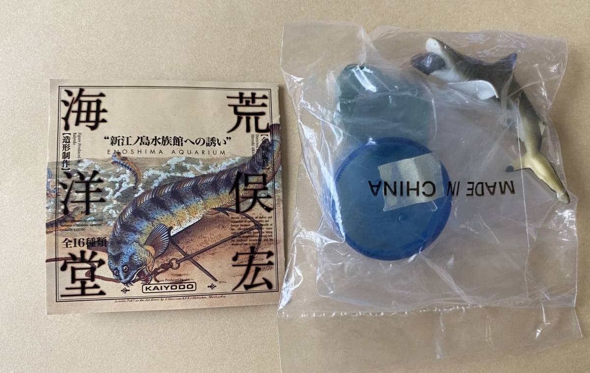 ツマグロ 新江ノ島水族館への誘い